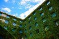 Hotel windows smothered in creepers(Green leaf bush)