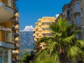 Hotels in turkey resort, palm and background mountain