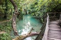 Hotnitsa Waterfall near Veliko Tarnovo province in Bulgaria. Beautiful green scenery landscape in spring time.