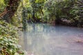 Hotnitsa Waterfall near Veliko Tarnovo province in Bulgaria. Beautiful green scenery landscape in spring time.