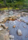 Hotsprings Of The Lake Furnas. Sao Miguel, Azores. Lagoa das Furnas Hotsprings. SÃÂ£o Miguel, Azores, Portugal. Steam venting at