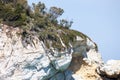 Hottentots fig flowers on the Elba Island. Royalty Free Stock Photo