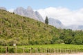 Hottentots-Holland Mountains towering above vineyards Royalty Free Stock Photo