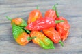Hottest pepper Royalty Free Stock Photo