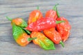 Hottest pepper