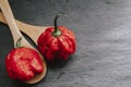 Hottest pepper in the world. Trinidad Scorpion Butch, thousands of times more spicy than Habanero. On black slate background, with Royalty Free Stock Photo