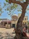 Hough neem tree trunk and bird feed is known as chabutro at Hinglaj