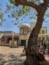 hough neem tree trunk and bird feed known as chabutro at Hinglaj villag