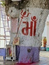 Hough neem tree trunk at Hinglaj Mata Temple at Hinglaj village Royalty Free Stock Photo