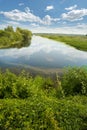 Houghton Lake Flats marsh, michigan, usa Royalty Free Stock Photo