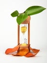 Hourglass with green and dry leaves