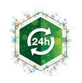 24 hours update icon floral plants pattern green hexagon button