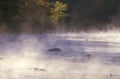 Housatonic River with Morning Mist, Connecticut Royalty Free Stock Photo