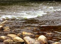 Housatonic River steam