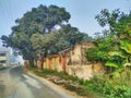 A house along with trees and a road