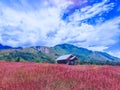 House in Baliem Valley Royalty Free Stock Photo