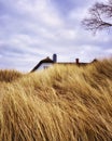 House behind the dunes on the Baltic Sea. Ahrenshoop Royalty Free Stock Photo