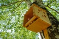 House birdhouse tree forest bird. branch wood