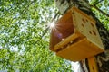 House birdhouse tree forest bird. trunk Royalty Free Stock Photo
