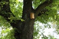 A house for birds