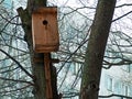 A house for birds on a tree Royalty Free Stock Photo