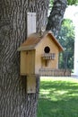 House for birds on the tree Royalty Free Stock Photo