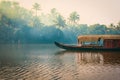 House boat anchored in lake with jungle background, Backwaters, Kerala, India Royalty Free Stock Photo