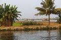 House boats with coconut palm foreground