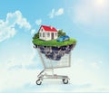 House and car in shopping cart Royalty Free Stock Photo