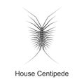 House centipede vector black icon. Vector illustration pest insect house centipede on white background. Isolated black Royalty Free Stock Photo