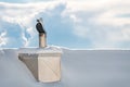 House Chimney, winterday Royalty Free Stock Photo