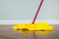 House cleaning tools on parquet Royalty Free Stock Photo