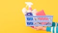 House cleanup cleaning set hand supplies basket Royalty Free Stock Photo