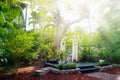House courtyard and the garden of the Ernest Hemingway Home and Museum in Key West, Florida. Royalty Free Stock Photo