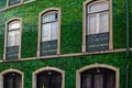 The house is covered by a green azulejo Royalty Free Stock Photo