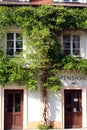 House covered with ivy Royalty Free Stock Photo