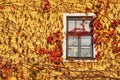 House covered by leves in autumn