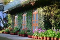 House covered with plants and flowers