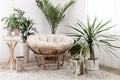 House with cozy boho ethnic interior with plants