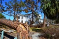 Hurricane Michael Clean-up