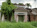 The house is damaged without the occupants of many wild plants that grow