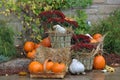 House decorated with pumpkins