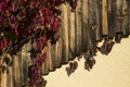 House details with wooden slats and leaves