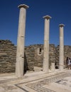 House of Dionysus on Delos
