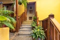 House exterior with stone stairs with wooden handles and window frame, flower pots and plants around Royalty Free Stock Photo