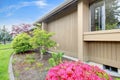 House exterior. View of wall with flower bed Royalty Free Stock Photo