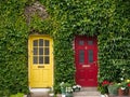 Facade with ivy and two doors in yellow and red Royalty Free Stock Photo