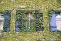 House facade overgrown with wild wine photographed in autumn in a park