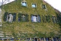 House facade overgrown with wild wine photographed in autumn in a park