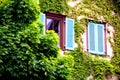 Green facade with vine leaves and 2 windows with blue shutters